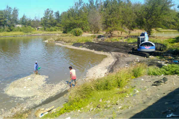 Agar Tak Cemari Laguna Trisik, Petambak Udang Diminta Buat IPAL Sederhana