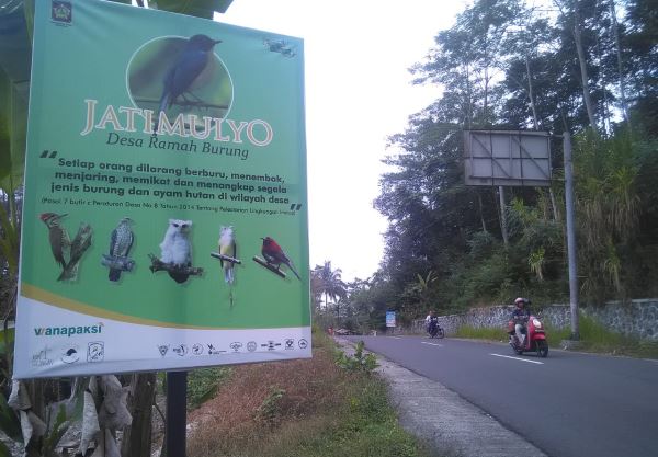 Di Sebuah Desa di Kulonprogo, Kicau Burung Dilindungi Denda Rp15 Juta