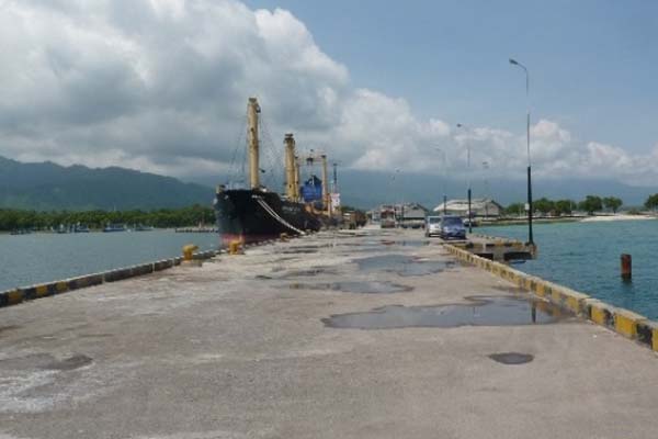 Harus Swasta, Pengelolaan Pelabuhan Patimban Tertutup untuk BUP Pelat Merah