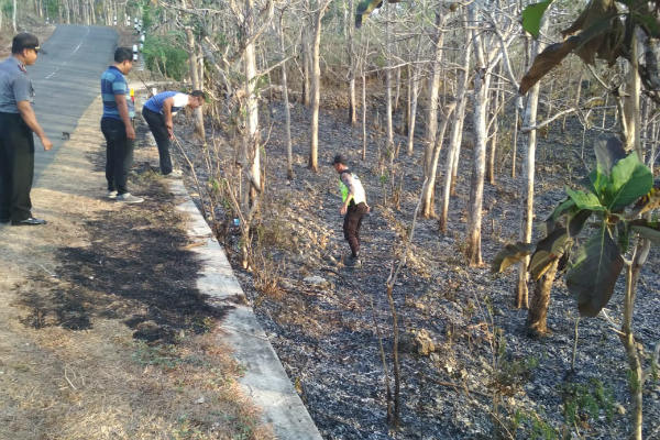 50 Hektare Lahan Gambut Terbakar di Aceh Barat