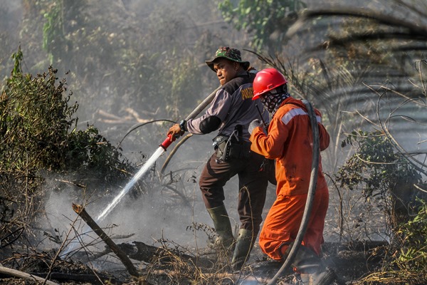 BNPB Terjunkan 1.512 Personel Tiap Provinsi untuk Antisipasi Kebakaran