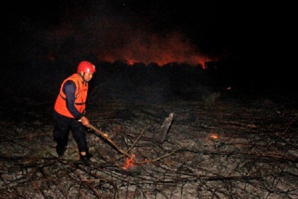 Kebakaran Hutan dan Lahan Capai 30.470 Hektare