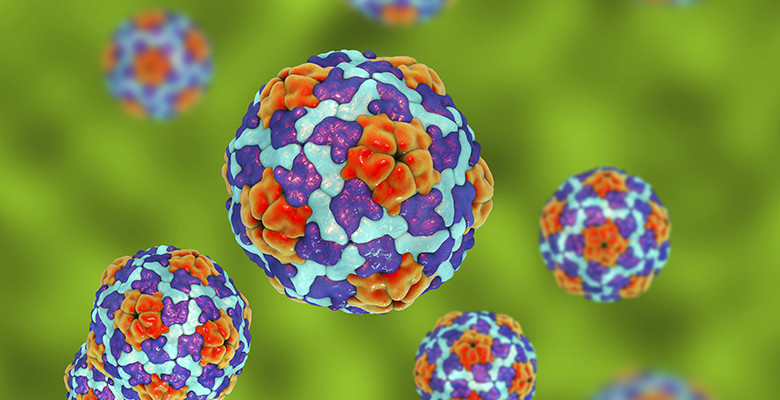 Kemenkes Temukan Sejumlah Fakta Terkait Kasus Hepatitis A di Pacitan