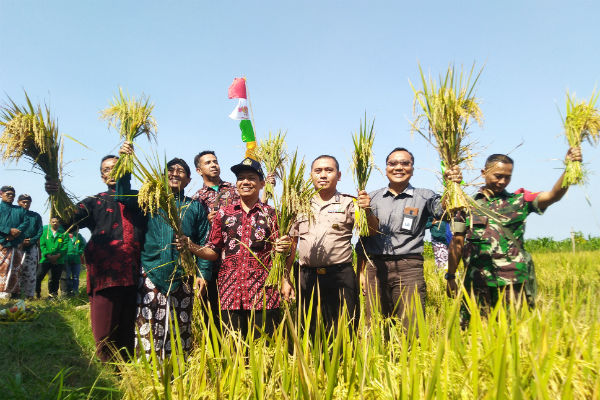 Panen Raya, Petani Desa Tawangsari Hasilkan Gabah 8,16 Ton per Hektare