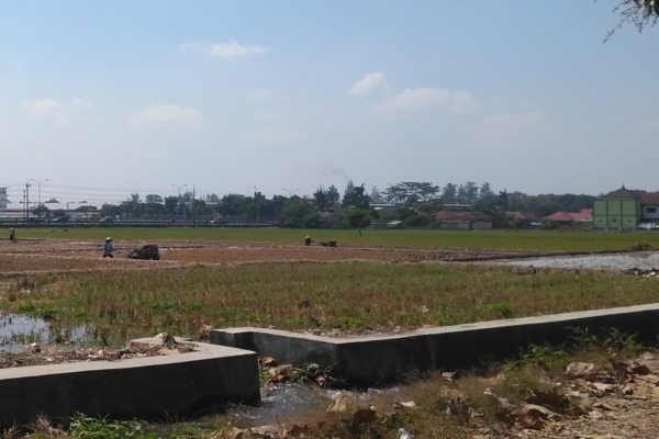 Tol Solo-Jogja Akan Menggusur 6 Hektare Lahan Pembenihan Padi di Boyolali