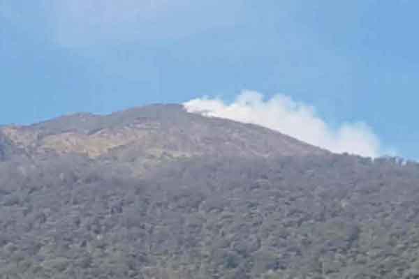  Gunung Ciremai Terbakar, Ada 5 Pendaki yang Belum Turun