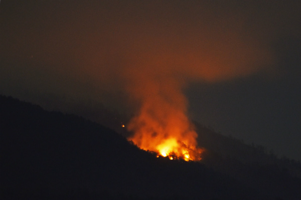 Antisipasi Kebakaran di Gunung Merapi, Balai TNGM Intensifkan Patroli 