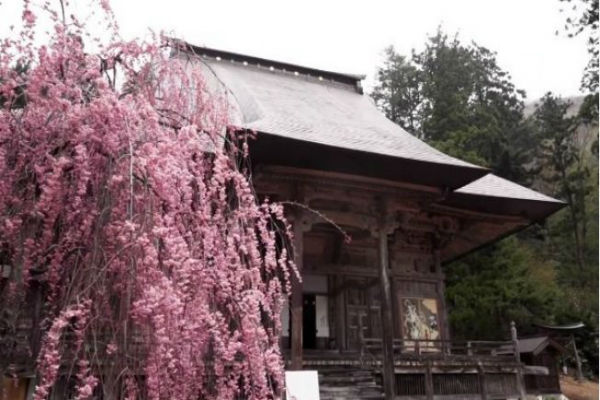 Tarik Minat Wisatawan, Kuil di Jepang Pajang Gambar Pria Telanjang