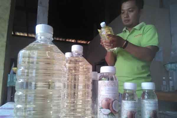  Potensi Kelapa Kalibawang Dimanfaatkan Menjadi Virgin Coconut Oil 