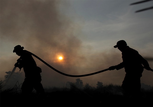 Kebakaran Hutan, Warga di 2 Negara Bagian Australia Mengungsi