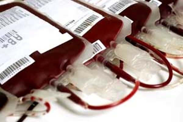 Wow, Pemerintah Gorontalo Sosialisasikan Sistem Donor Darah Berbasis Android