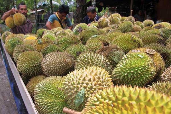 Ini Jumlah Aman Mengonsumsi Durian
