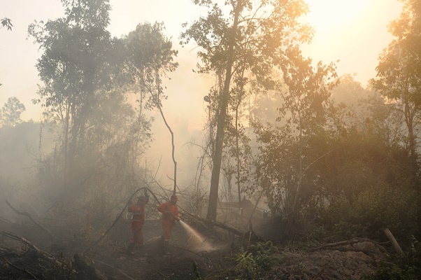 Lahan 436 Hektare yang Terbakar di Merbabu Sudah Padam