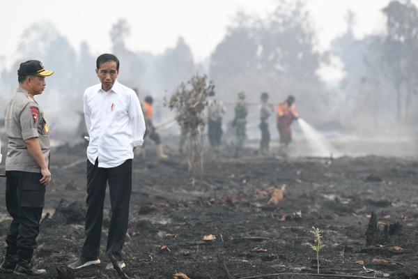 Kebakaran Hutan, Mendagri: Pemda Harus Tindak Tegas