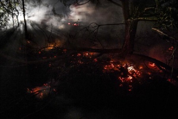 Polisi Segel 2 Kebun Sawit yang Lahannya Terbakar