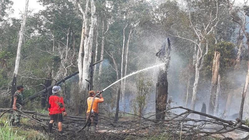 Teknologi Modifikasi Cuaca Bantu Pemadaman Kebakaran di Kalimantan dan Sumatra