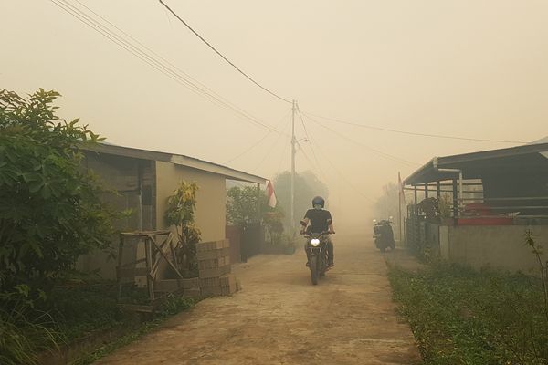 Sudah Hujan, Kualitas Udara di Daerah Terdampak Karhutla Masih Buruk