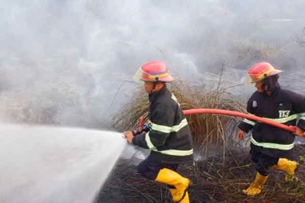 Polisi Tetapkan 1.500 Hektare Lahan dan Hutan Terbakar di Riau
