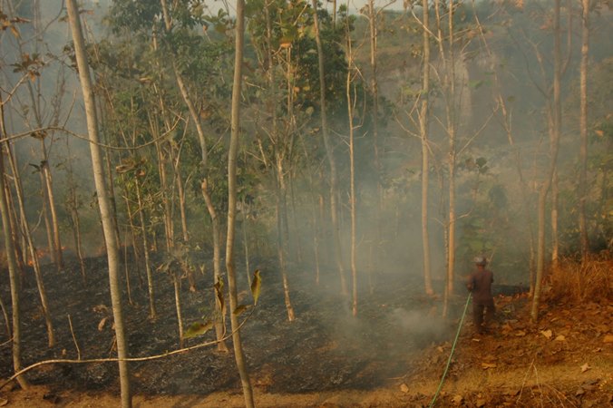 Lahan Seluas 26,5 Hektar di Gunung Sumbing Terbakar