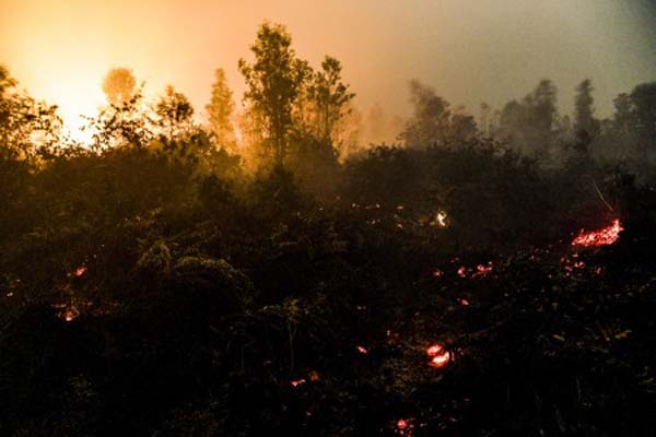 15 Hektare Lahan di Kokap Terbakar