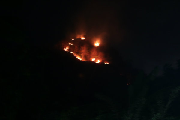 Hutan Gunung Papandayan Terbakar