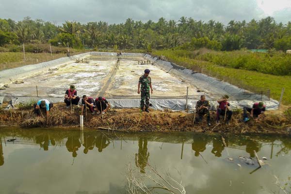  Kawasan Konservasi Mangrove Rusak, TNI AL Sumbang 2.000 Bibit Pohon
