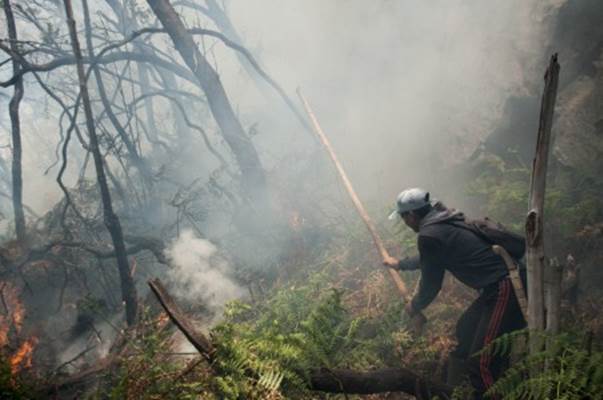 Luas Kebakaran Hutan dan Lahan Meningkat160 Persen