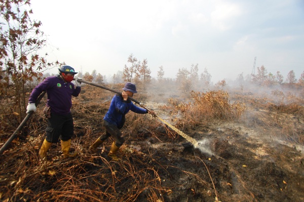 857.000 Hektare Lahan dan Hutan Terbakar Selama 9 Bulan