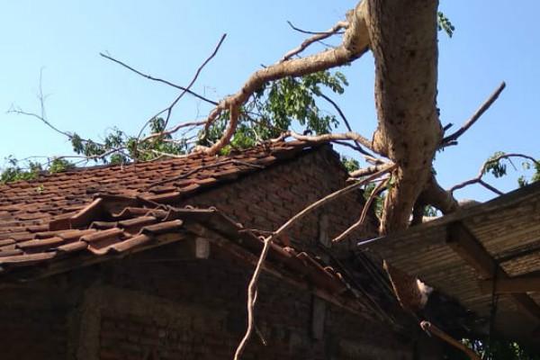 Diterjang Angin, Puluhan Rumah di Bantul Rusak