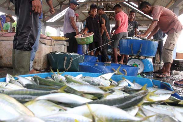 Tak Punya Pelabuhan, Hasil Tangkapan Ikan di Bantul Kecil