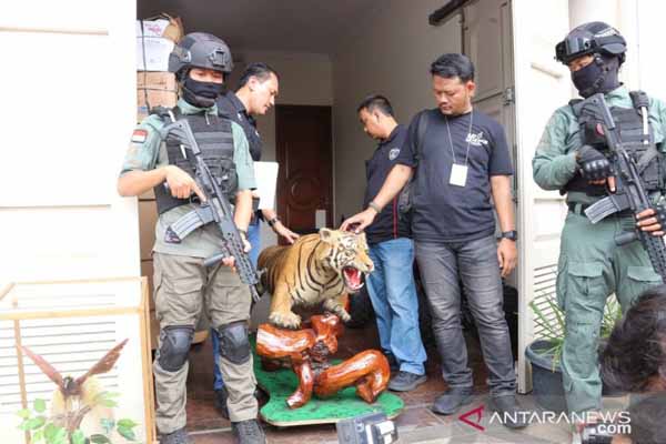 Polisi Temukan Harimau, Rusa dan Burung di Rumah Pengemudi Lamborghini yang Todongkan Pistol pada Pelajar SMA