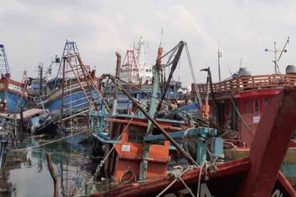 Ini Faktor Alam yang Memicu Kapal Nelayan China Berburu Ikan di Natuna