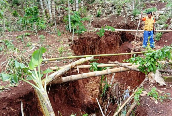 Hujan Deras akibatkan Tanah Ambles Sepanjang 16 Meter di Purwodadi Gunungkidul