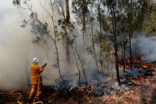 Korban Tewas Kebakaran Hutan di Australia Capai 28 Orang, Perdana Menteri Minta Maaf