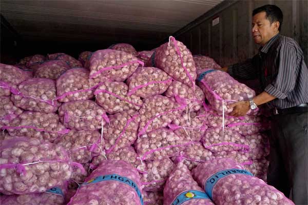 Aman dari Corona, 62.000 Ton Bawang Putih dari China Akan Banjiri Pasar Indonesia