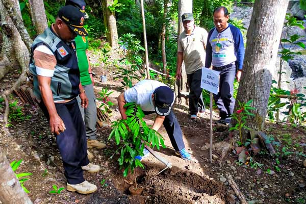 2.000 Bibit Pohon Ditanam di Kedung Luweng