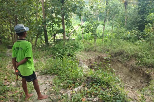 Terowongan Ambles Belum Ditangani, Petani Sambiroto Khawatir Masa Tanam 2 Terganggu