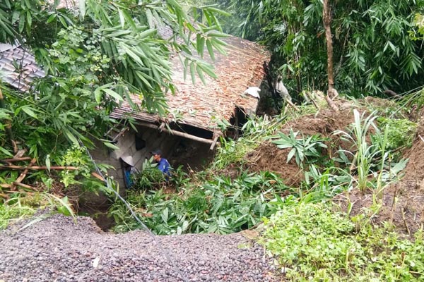 Dampak Hujan Panjang di Sleman, Pohon Bertumbangan dan Tanah Longsor Menimpa Rumah Warga