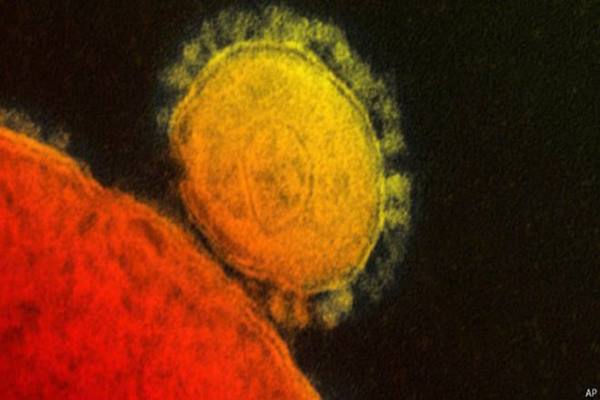 Virus Corona Dapat Hidup dalam Tubuh Pasien Selama 5 Pekan