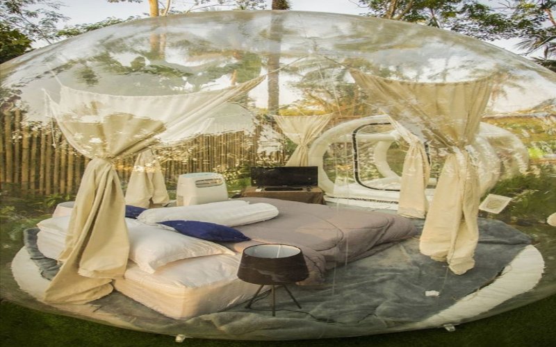 Mau Jajal Tidur di Bubble Tent dengan Pemandangan Sawah?