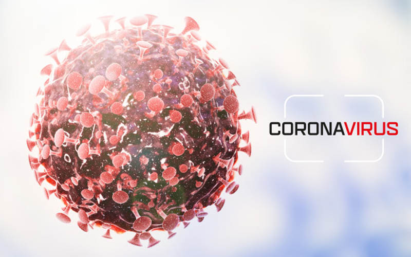 Punya Kesadaran Tinggi, Keluarga yang Terinfeksi Corona di Bantul Sudah Isolasi Mandiri Sebelum Positif Covid-19