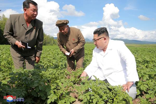 Ini Dia, Tokoh Kandidat Terkuat Gantikan Kim Jong Un