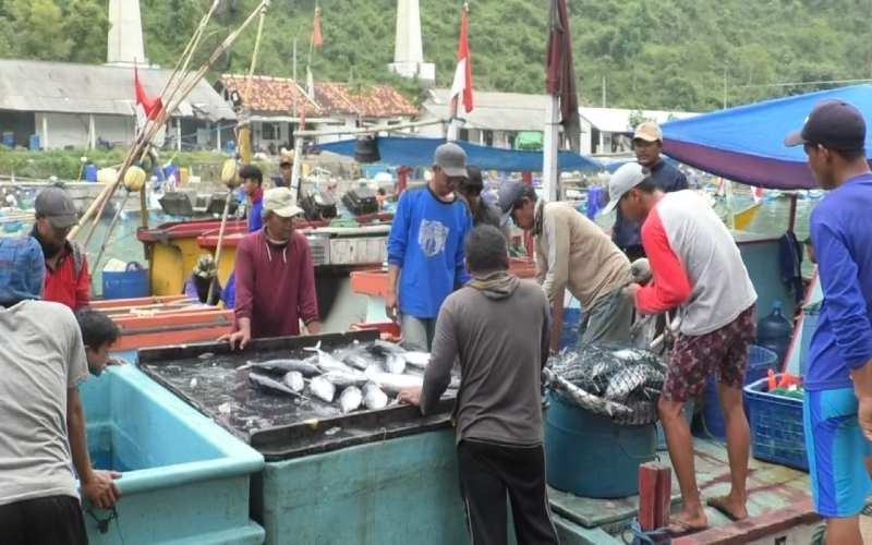 Hasil Tangkapan Nelayan Pantai Sadeng Meningkat