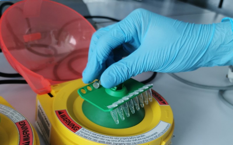 50.000 Test Kit PCR Buatan Indonesia Rampung Akhir Mei