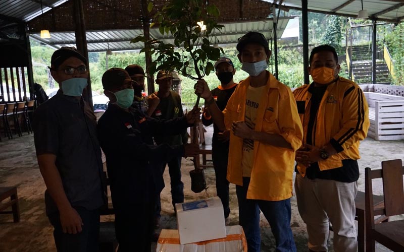 Ribuan Beringin Akan Ditanam di Lereng Merapi