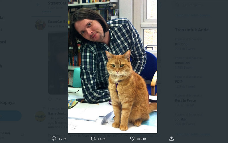 RIP Bob Jadi Trending di Twitter, Ini Sosok Bob yang Bikin Pencinta Kucing Berduka