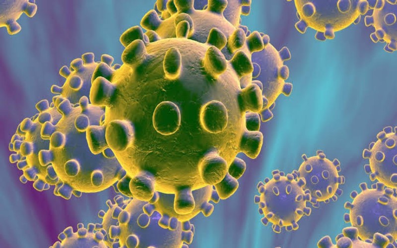 Ilmuwan: Virus Corona Telah Ada Bertahun-tahun Sebelum Muncul di China