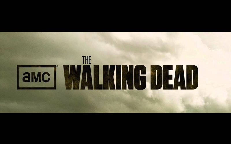Twd Saison 11 Streaming Vf The Walking Dead Season 11 Ditunda sampai 2021 - Harianjogja.com