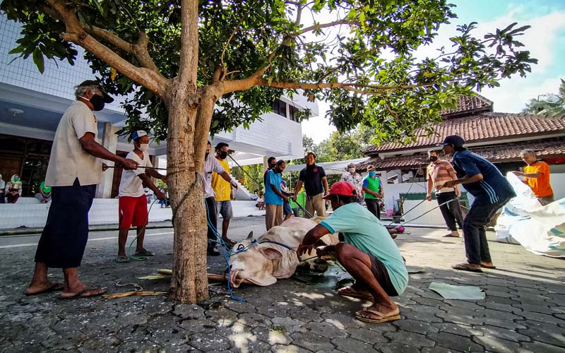 Ratusan Petugas Kesehatan Pantau Pelaksanaan Kurban di Kulonprogo