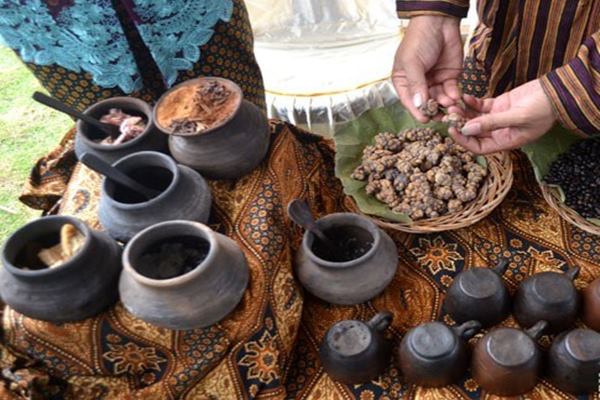 Ilmuwan Peringatkan Kemungkinan Wabah Penyakit dari Luwak di Indonesia